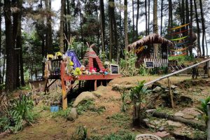 Penampakan Taman Wisata Alam Gunung Pancar di Bogor